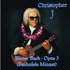 Bluesy Bach - Opus 3 (Bachulele Minuet) - Video