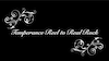 Temperance Reel to Real Rock - Video
